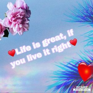 Meet your Posher, Ava